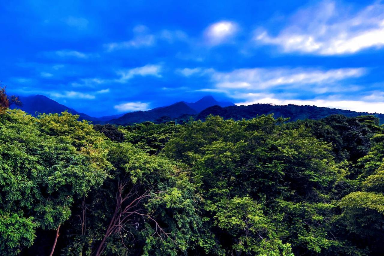 Villa Maria Tayrona, Jungle And Sea Experience Лос Наранхос Екстериор снимка