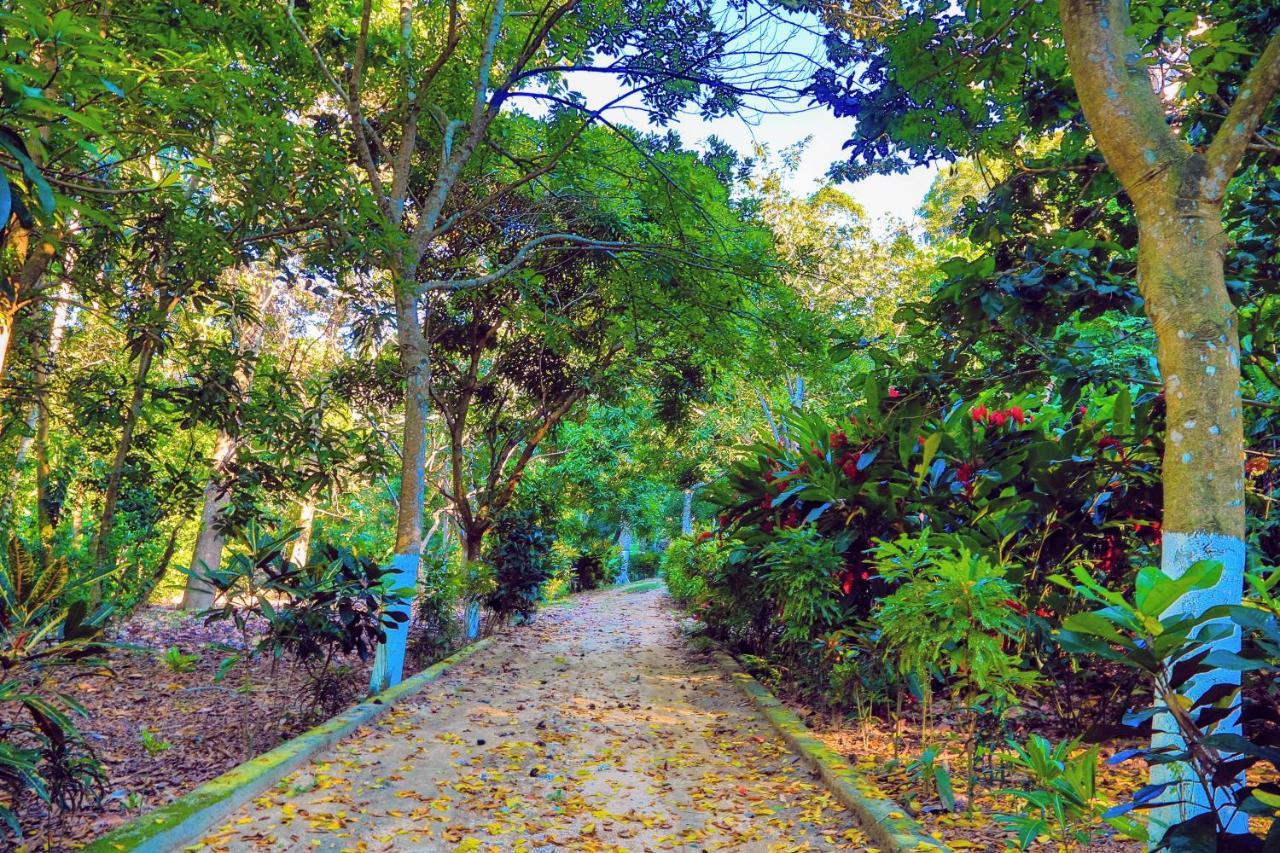 Villa Maria Tayrona, Jungle And Sea Experience Лос Наранхос Екстериор снимка