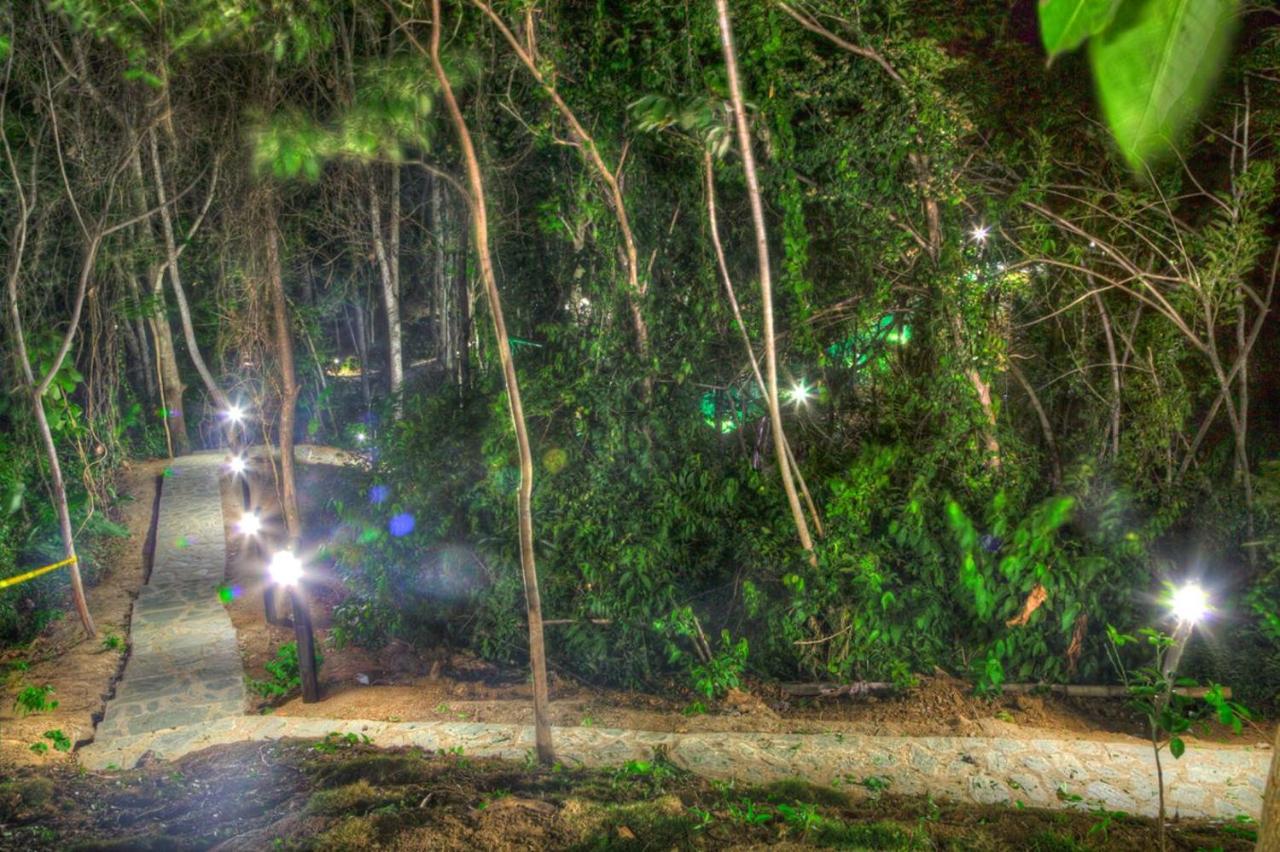 Villa Maria Tayrona, Jungle And Sea Experience Лос Наранхос Екстериор снимка