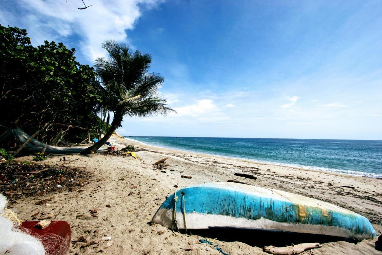 Villa Maria Tayrona, Jungle And Sea Experience Лос Наранхос Екстериор снимка