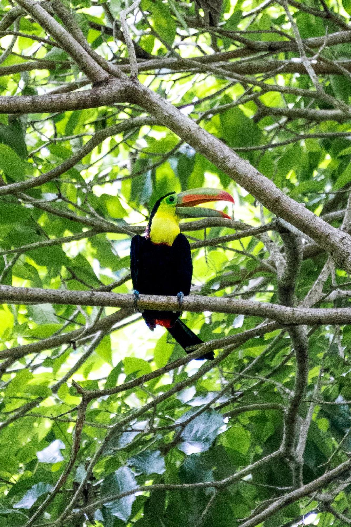 Villa Maria Tayrona, Jungle And Sea Experience Лос Наранхос Екстериор снимка