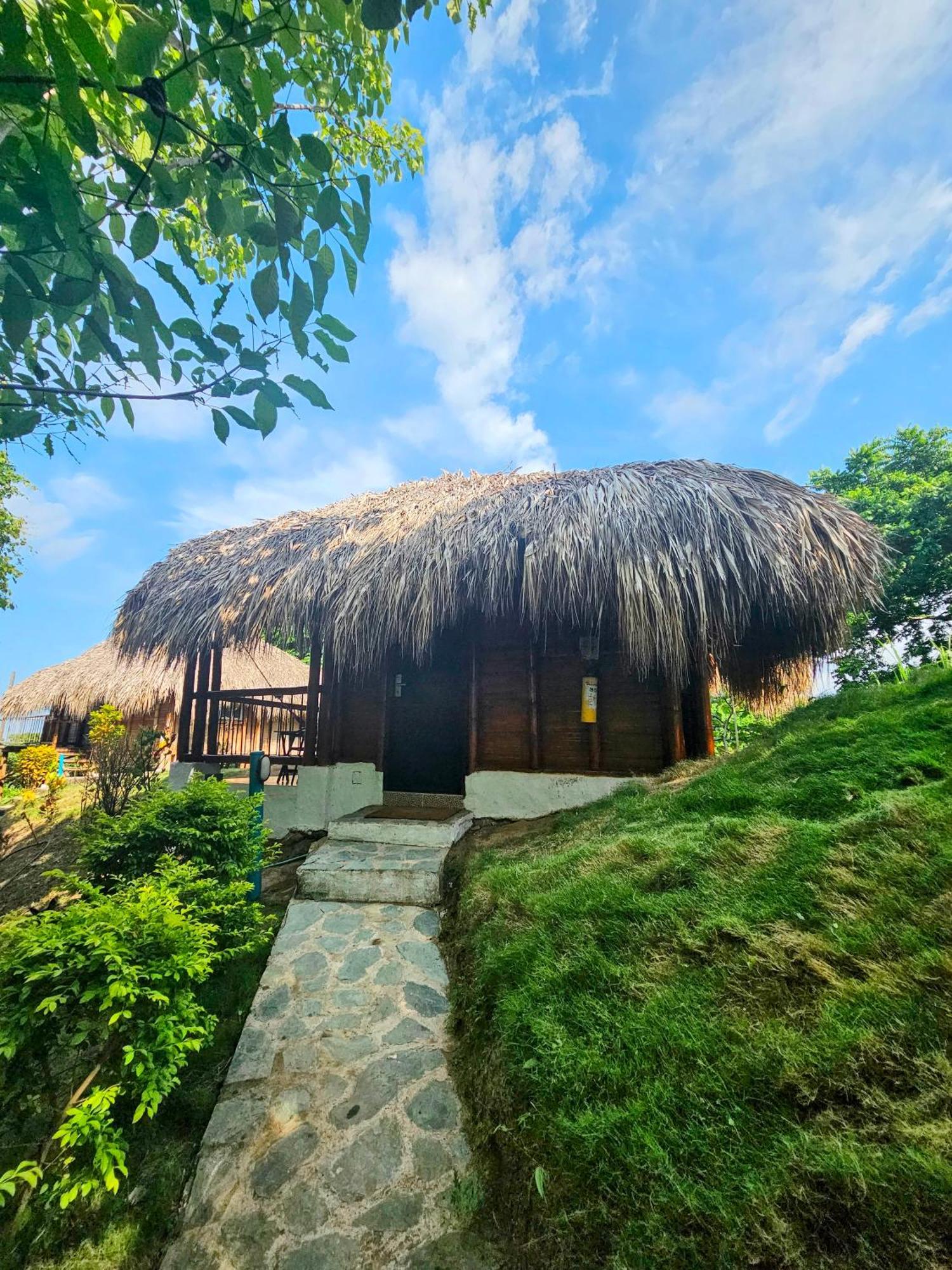 Villa Maria Tayrona, Jungle And Sea Experience Лос Наранхос Екстериор снимка