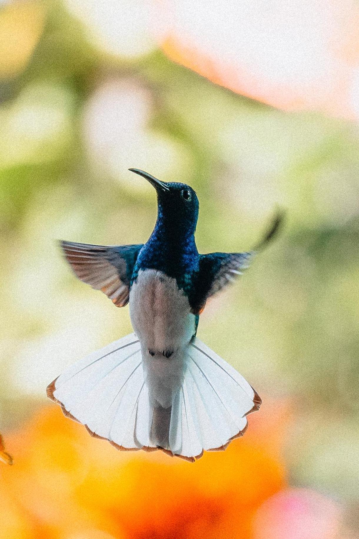 Villa Maria Tayrona, Jungle And Sea Experience Лос Наранхос Екстериор снимка