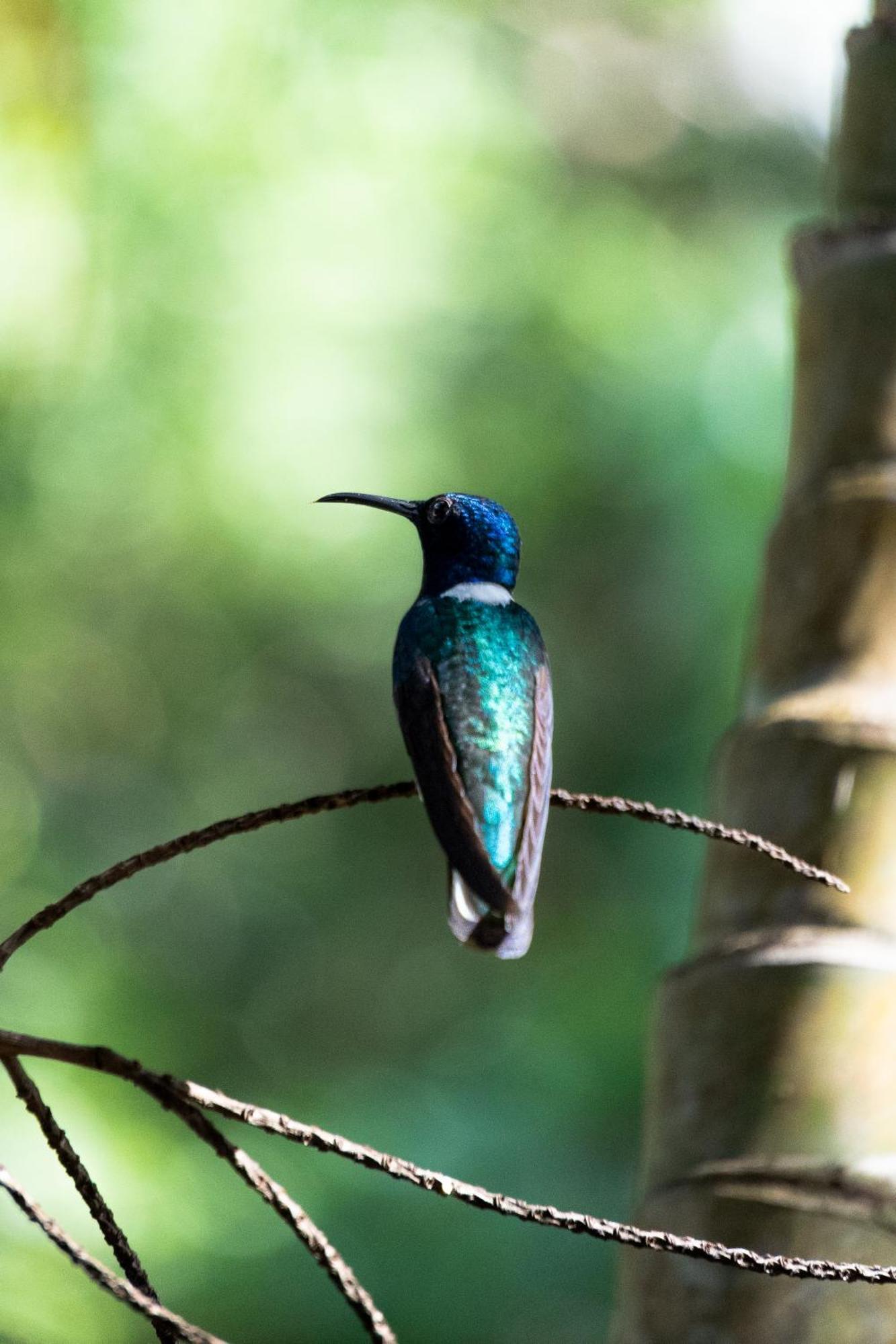 Villa Maria Tayrona, Jungle And Sea Experience Лос Наранхос Екстериор снимка
