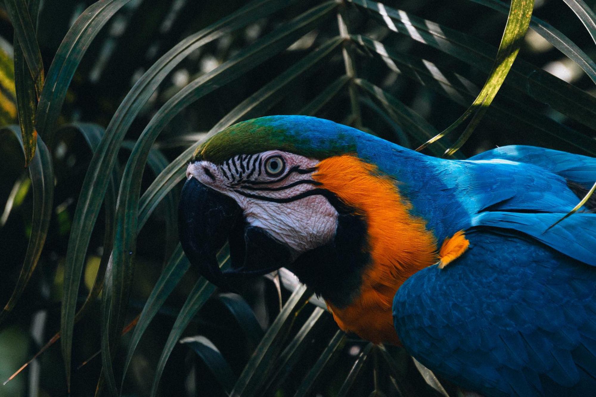 Villa Maria Tayrona, Jungle And Sea Experience Лос Наранхос Екстериор снимка
