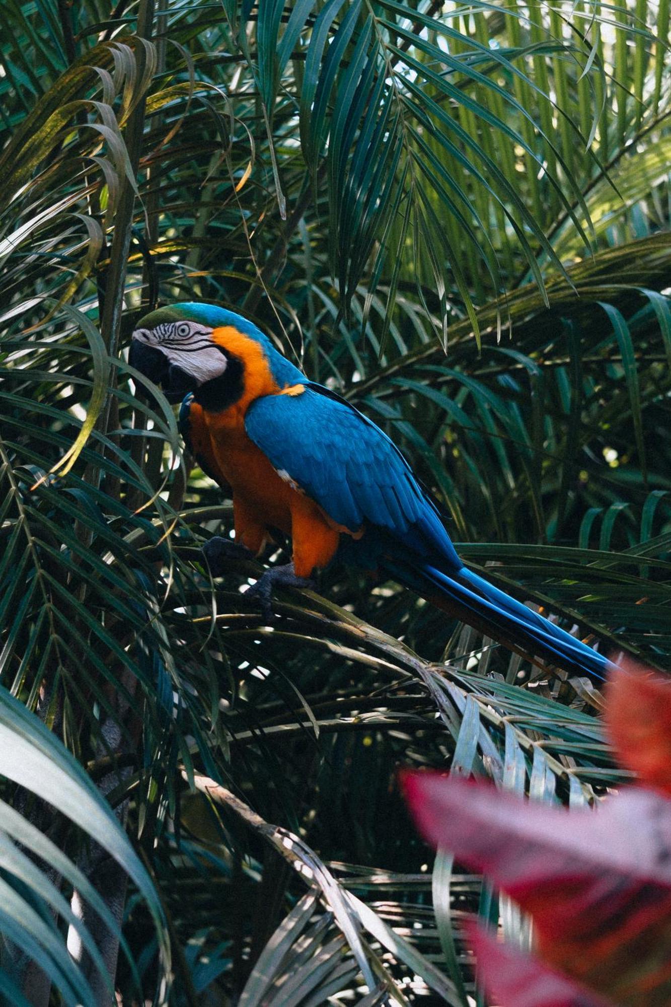 Villa Maria Tayrona, Jungle And Sea Experience Лос Наранхос Екстериор снимка