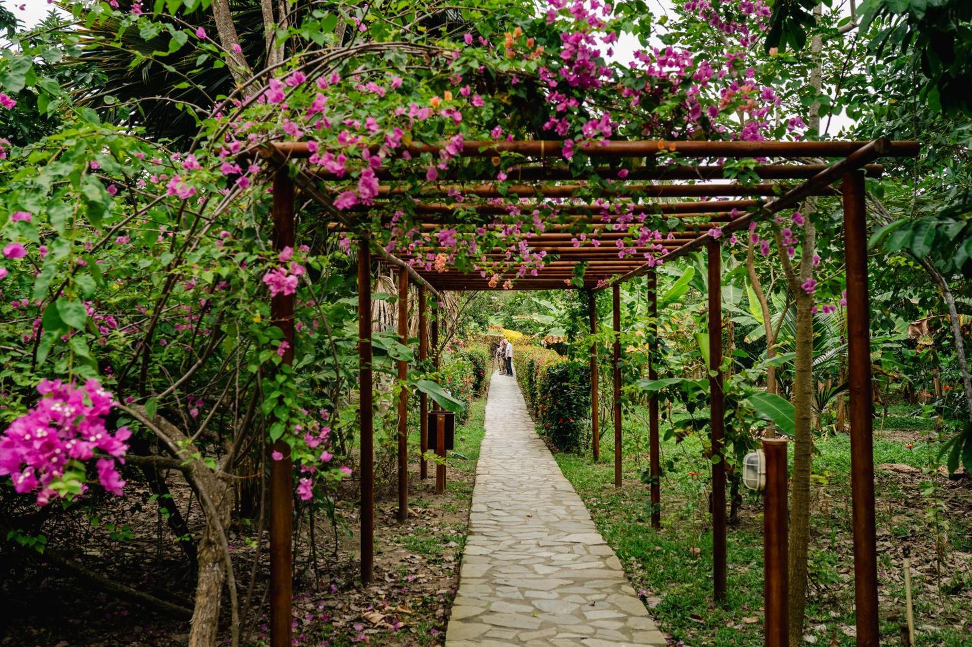 Villa Maria Tayrona, Jungle And Sea Experience Лос Наранхос Екстериор снимка